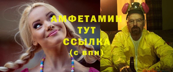 стаф Зерноград