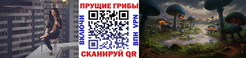 Псилоцибиновые грибы прущие грибы kraken как войти Избербаш